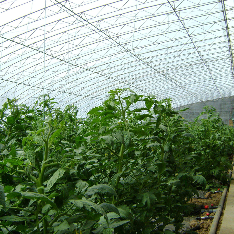 轉光PO農膜